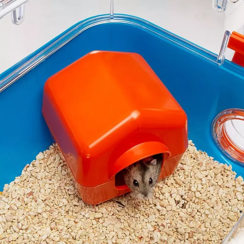 Kooi FERPLAST Combi 2 voor hamsters, blauw transparant, B795×T295×H263 mm, technopolymeer