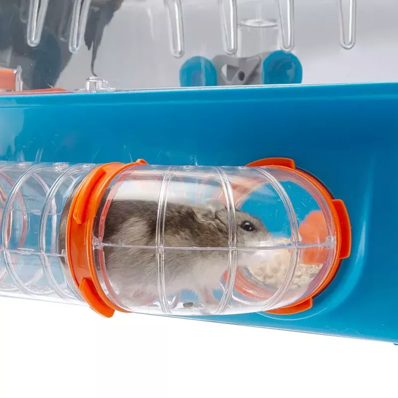 Kooi FERPLAST Combi 2 voor hamsters, blauw transparant, B795×T295×H263 mm, technopolymeer