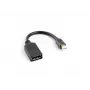 LANBERG DisplayPort-kabel Mini DisplayPort - 0,12 m zwart