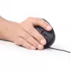 GEMBIRD optische muis MUS-ERGO-01 - ergonomisch, 6 knoppen, wiel, USB, zwart