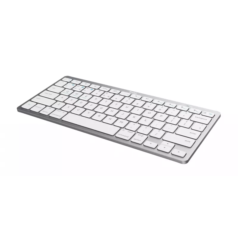 Trust 24651 draadloos QWERTY US English toetsenbord, zilver