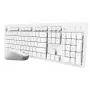 Trust Ody II toetsenbord muis inbegrepen home/office RF draadloos QWERTY US-Engels wit