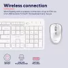 Trust Ody II toetsenbord muis inbegrepen home/office RF draadloos QWERTY US-Engels wit