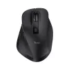 Trust Fyda draadloze RF draadloos + USB Type-A muis