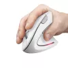 Trust Verto muis kantoor rechtshandig RF draadloos optisch 1600 DPI