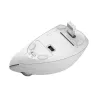 Trust Verto muis kantoor rechtshandig RF draadloos optisch 1600 DPI