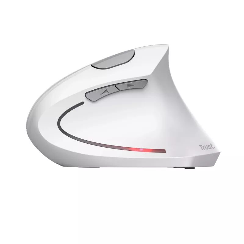 Trust Verto muis kantoor rechtshandig RF draadloos optisch 1600 DPI