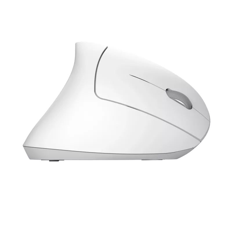 Trust Verto muis kantoor rechtshandig RF draadloos optisch 1600 DPI