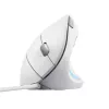 Trust Verto muis kantoor rechtshandig USB Type-A optisch 1600 DPI