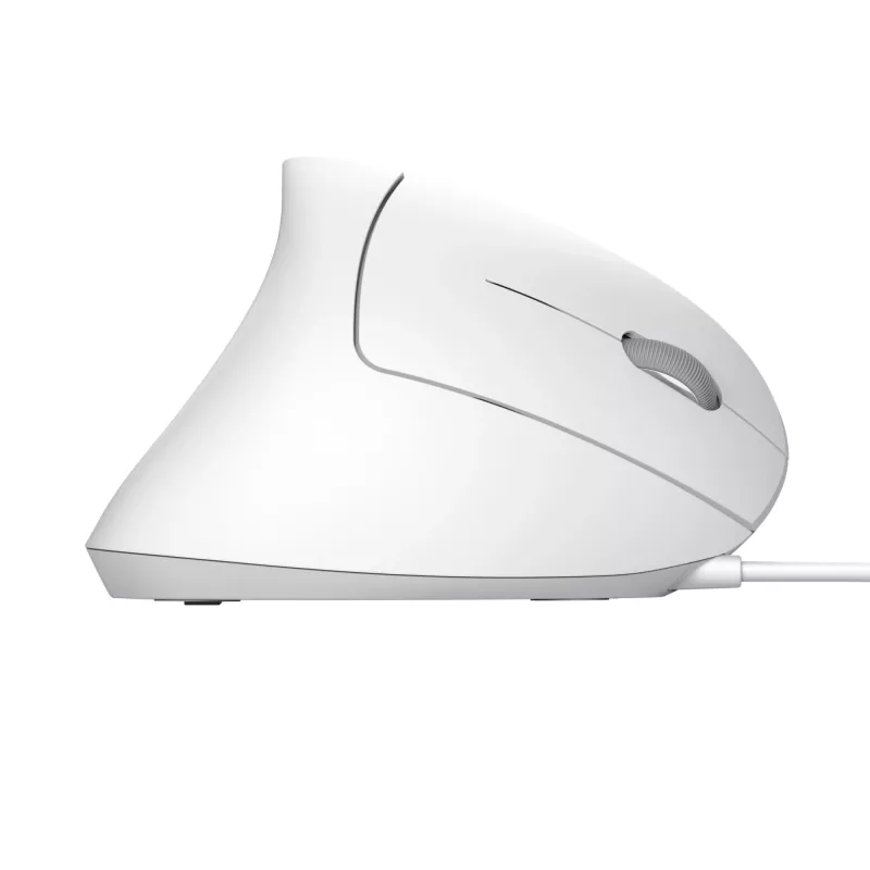 Trust Verto muis kantoor rechtshandig USB Type-A optisch 1600 DPI