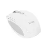 Trust Ozaa muis kantoor rechtshandig RF draadloos + Bluetooth optisch 3200 DPI
