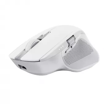 Trust Ozaa+ Muis, Kantoor, Rechtshandig, RF Draadloos + Bluetooth 24935
