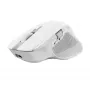 Trust Ozaa+ Muis, Kantoor, Rechtshandig, RF Draadloos + Bluetooth 24935