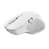 Trust Ozaa+ Muis, Kantoor, Rechtshandig, RF Draadloos + Bluetooth 24935