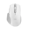 Trust Ozaa+ Muis, Kantoor, Rechtshandig, RF Draadloos + Bluetooth 24935