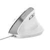 Trust Bayo II muis kantoor rechtshandig USB Type-A optisch 2400 DPI