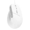 Trust Bayo II muis kantoor rechtshandig USB Type-A optisch 2400 DPI