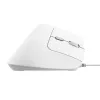 Trust Bayo II muis kantoor rechtshandig USB Type-A optisch 2400 DPI