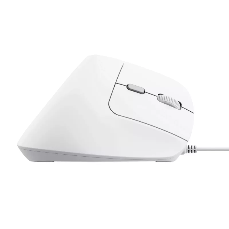 Trust Bayo II muis kantoor rechtshandig USB Type-A optisch 2400 DPI