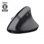 Trust Bayo+ muis kantoor rechtshandig RF draadloos + Bluetooth optisch 2400 DPI