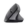 Trust Bayo+ muis kantoor rechtshandig RF draadloos + Bluetooth optisch 2400 DPI
