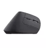 Trust Bayo+ muis kantoor rechtshandig RF draadloos + Bluetooth optisch 2400 DPI