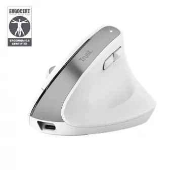 Trust Bayo+ muis kantoor rechtshandig RF draadloos + Bluetooth optisch 2400 DPI