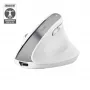 Trust Bayo+ muis kantoor rechtshandig RF draadloos + Bluetooth optisch 2400 DPI