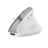 Trust Bayo+ muis kantoor rechtshandig RF draadloos + Bluetooth optisch 2400 DPI