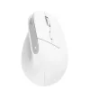 Trust Bayo+ muis kantoor rechtshandig RF draadloos + Bluetooth optisch 2400 DPI