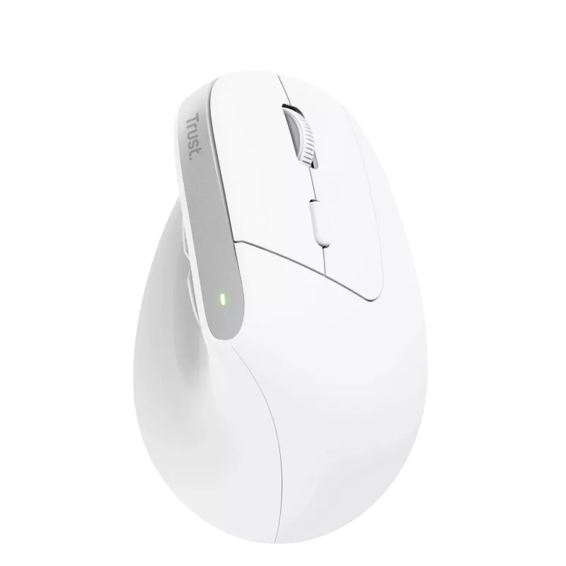 Trust Bayo+ muis kantoor rechtshandig RF draadloos + Bluetooth optisch 2400 DPI