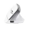 Trust Bayo+ muis kantoor rechtshandig RF draadloos + Bluetooth optisch 2400 DPI