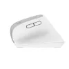 Trust Bayo+ muis kantoor rechtshandig RF draadloos + Bluetooth optisch 2400 DPI