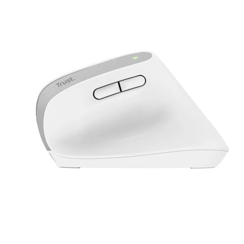 Trust Bayo+ muis kantoor rechtshandig RF draadloos + Bluetooth optisch 2400 DPI
