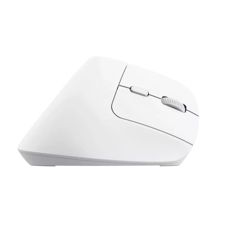 Trust Bayo+ muis kantoor rechtshandig RF draadloos + Bluetooth optisch 2400 DPI