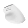 Trust Bayo+ muis kantoor rechtshandig RF draadloos + Bluetooth optisch 2400 DPI