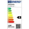 Ansmann FL100W-AC bedrade werklamp 100 W