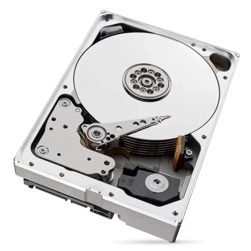 Seagate IronWolf Pro ST10000NT001 interne harde schijf 10 TB 7200 RPM 256 MB 3,5 inch Serial ATA III