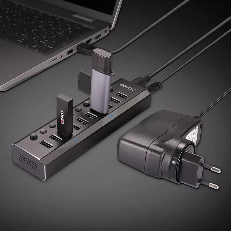 Lindy 10 poorts USB 3.0 hub met aan-/uitknoppen
