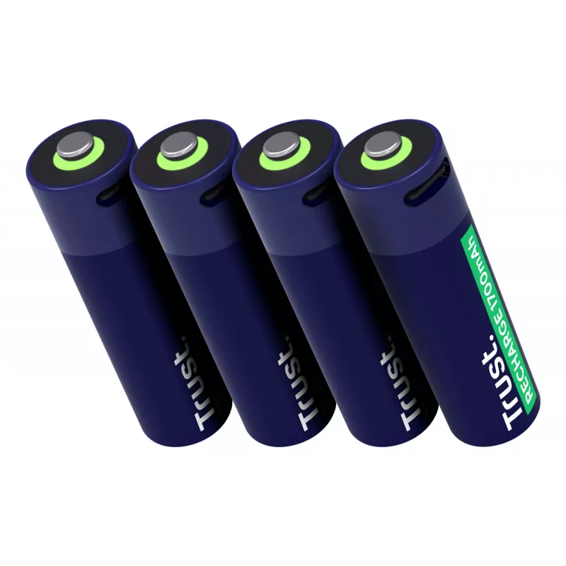 Trust 25631 huishoudbatterij oplaadbare batterij AA