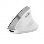 Trust Bayo II muis kantoor rechtshandig RF draadloos optisch 2400 DPI