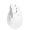Trust Bayo II muis kantoor rechtshandig RF draadloos optisch 2400 DPI