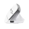 Trust Bayo II muis kantoor rechtshandig RF draadloos optisch 2400 DPI