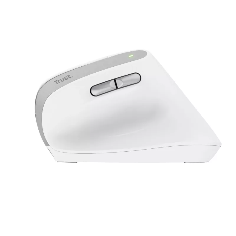 Trust Bayo II muis kantoor rechtshandig RF draadloos optisch 2400 DPI