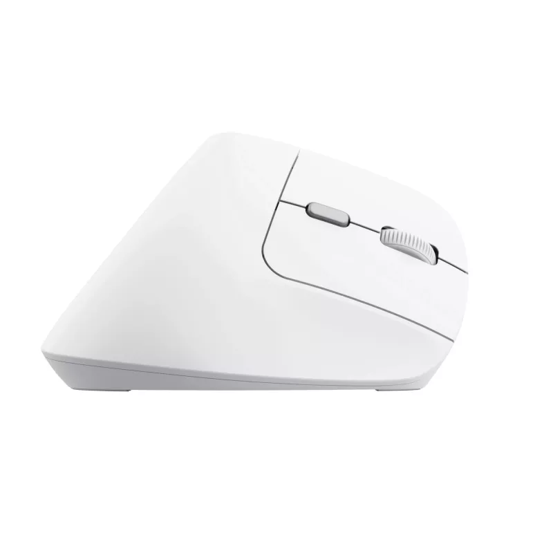 Trust Bayo II muis kantoor rechtshandig RF draadloos optisch 2400 DPI