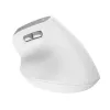 Trust Bayo II muis kantoor rechtshandig RF draadloos optisch 2400 DPI