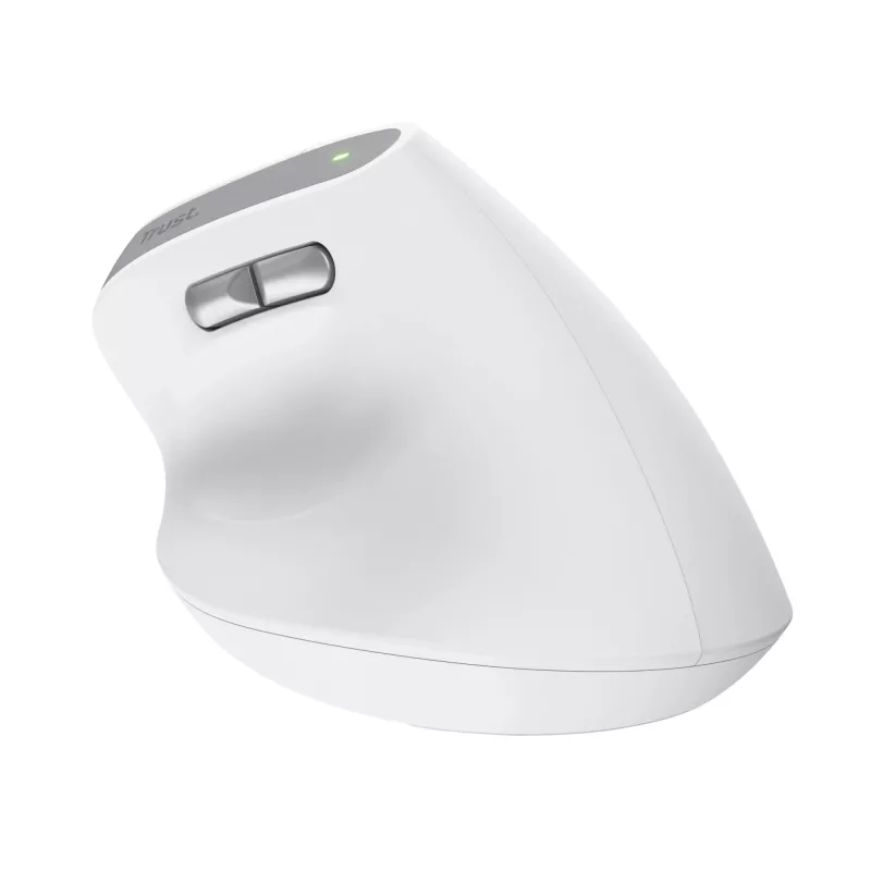 Trust Bayo II muis kantoor rechtshandig RF draadloos optisch 2400 DPI