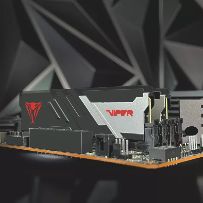 PATRIOT MEMORY geheugen – Viper Venom – 32 GB 2 x 16 GB DDR5 7000 MHz
