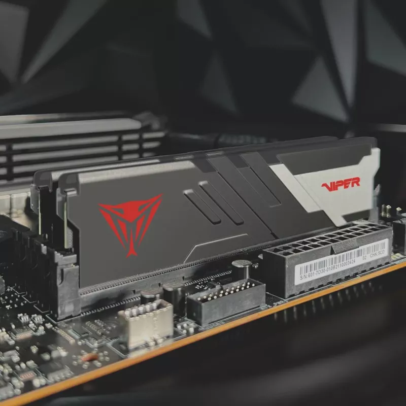 PATRIOT MEMORY geheugen – Viper Venom – 32 GB 2 x 16 GB DDR5 7000 MHz