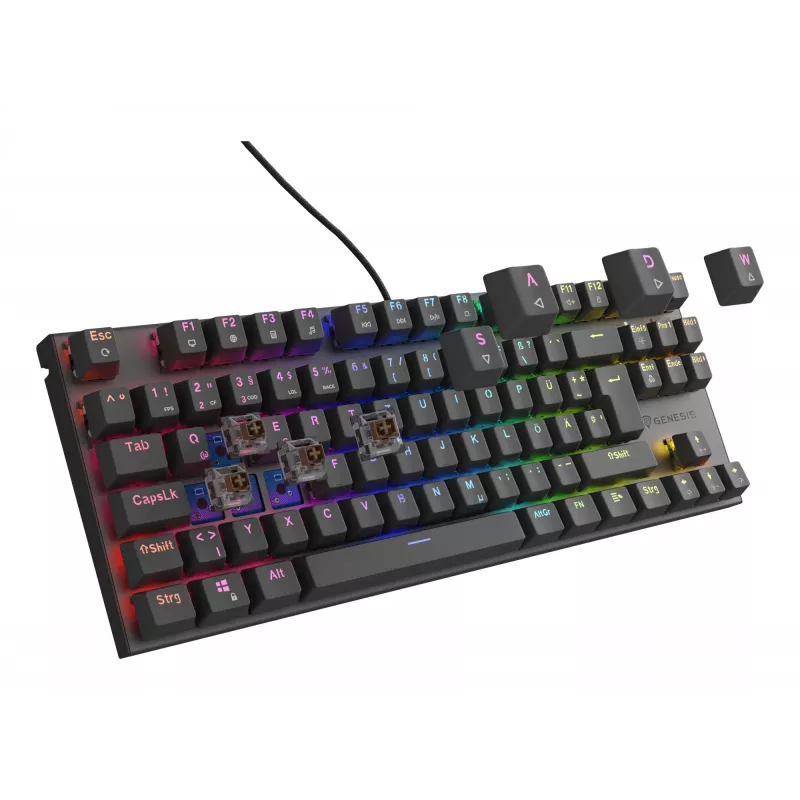 GENESIS Thor 303 TKL toetsenbord gaming USB QWERTZ Duits zwart